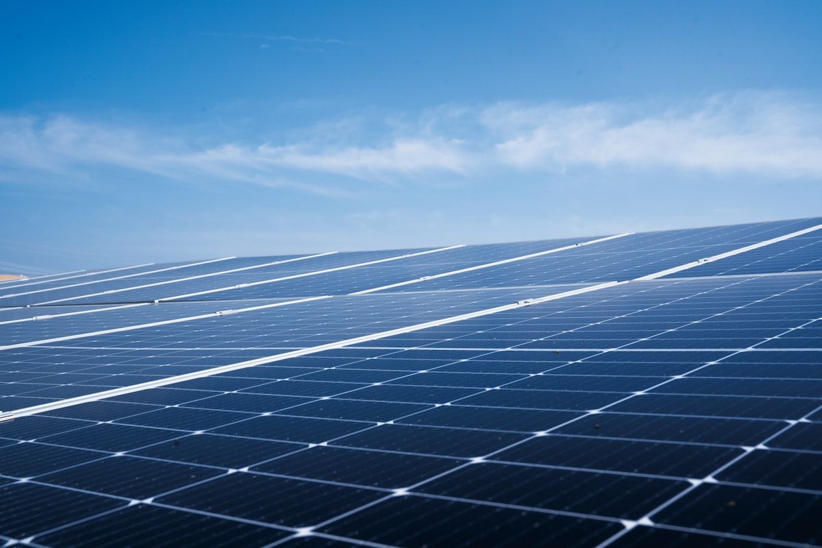 Painéis solares num telhado verde ao sol